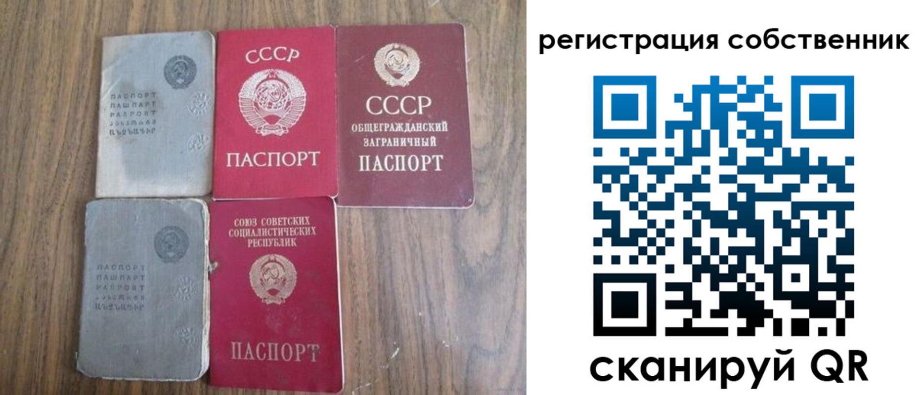 прописка поиск в Бердске
